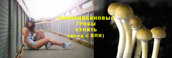 не бодяженный Куйбышев