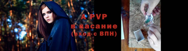 ECSTASY Кулебаки