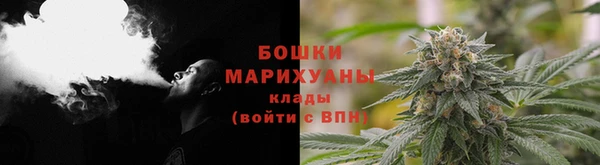 СК Пересвет