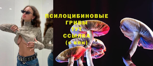 герыч Туринск