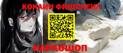 крисы Кингисепп