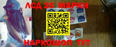 крисы Кингисепп