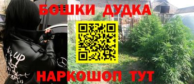 крисы Кингисепп