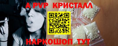 крисы Кингисепп