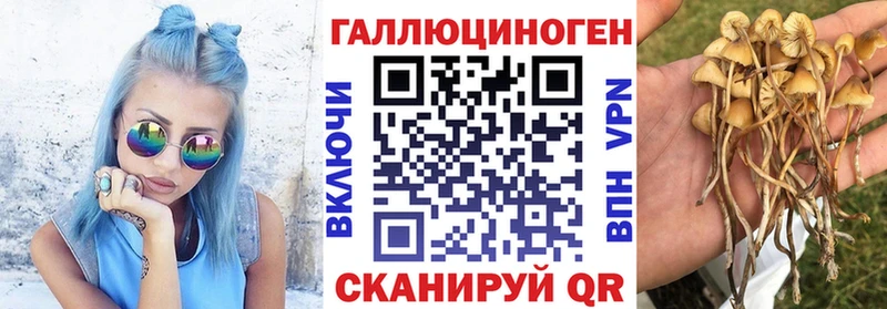 продажа наркотиков  Самара  это как зайти  Галлюциногенные грибы Psilocybe 