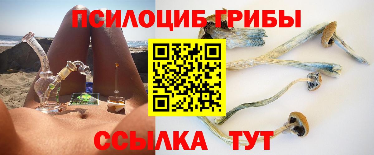 Псилоцибиновые грибы прущие грибы Самара